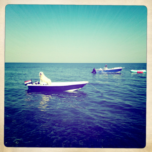 Hip 335287086.785048