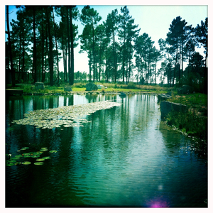 Hip 335291217.753071