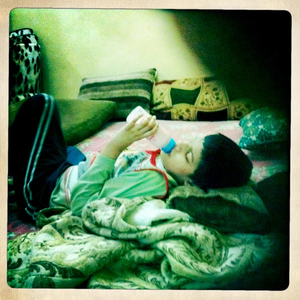 Hip 335308529.801272