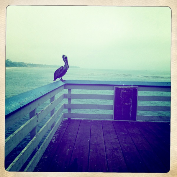 Hip 335303126.656118