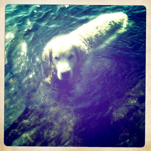 Hip 331507083.879479