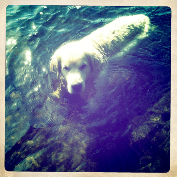 Hip 331507083.879479