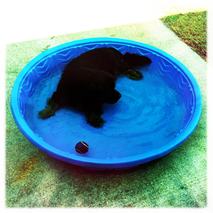 Hip 335311155.953385