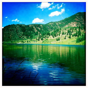 Hip 335303067.273239