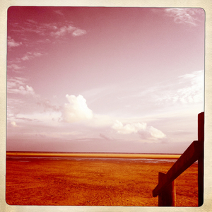 Hip 333308352.557647