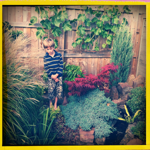 Hip 334512102.737759