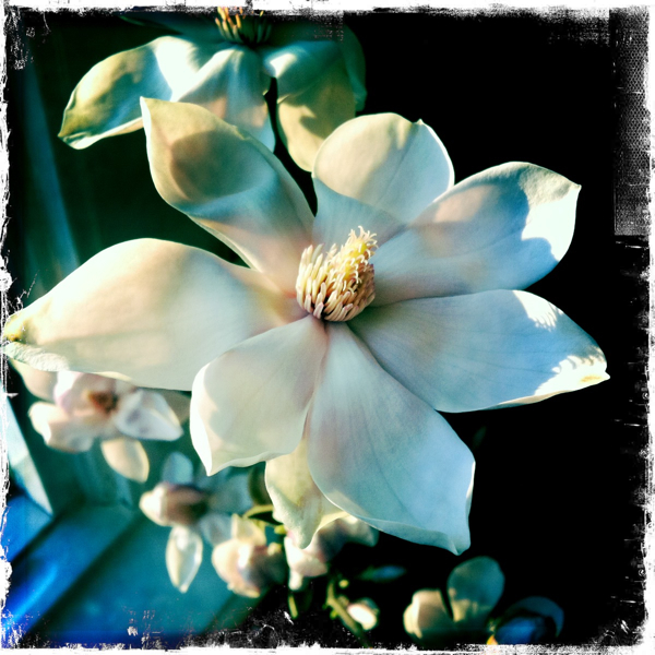 Hip 321123490.565240