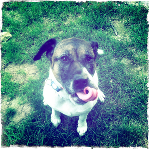 Hip 335313985.116905