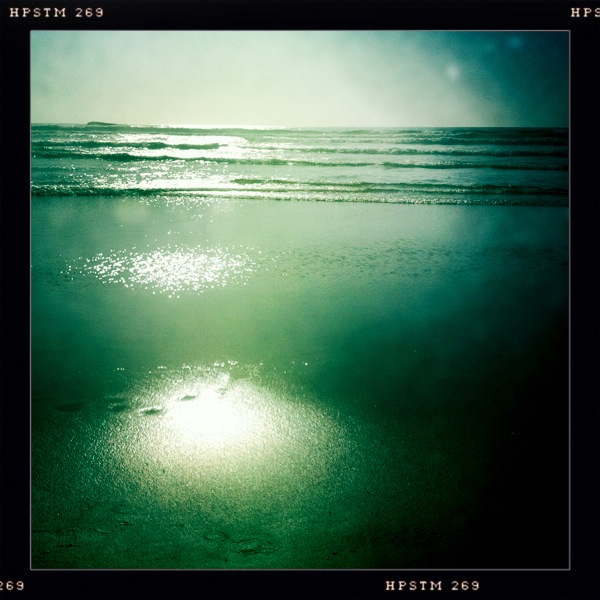 Hip 333221924.125035