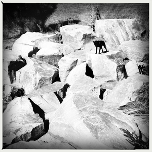 Hip 335311182.139992