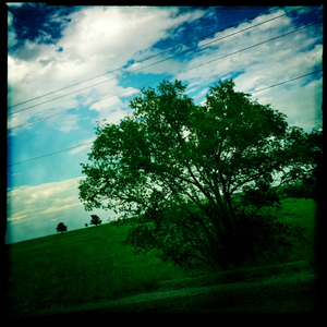 Hip 333499435.715249