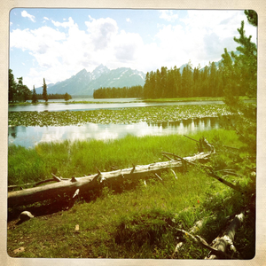 Hip 334275798.734491