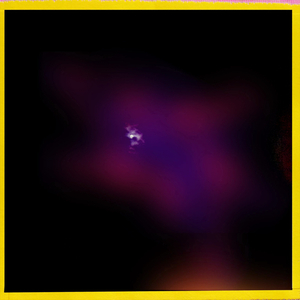 Hip 335317261.205052