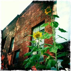 Hip 335054170.163240