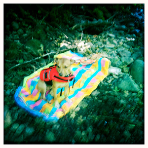 Hip 333761560.996279