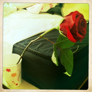 Hip 333760319.820727