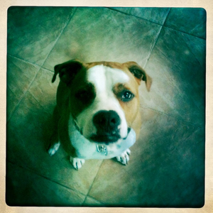 Hip 335272086.036760