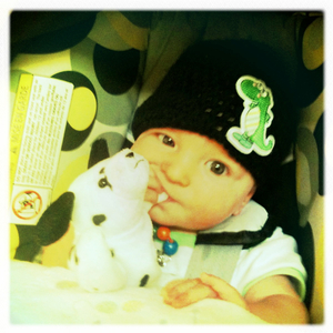 Hip 335320243.366615