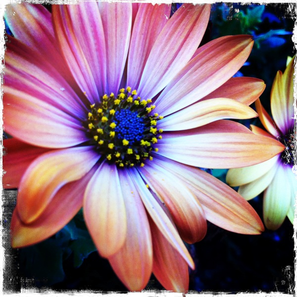 Hip 333737051.646013