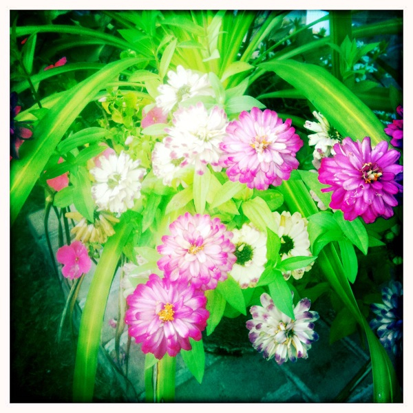 Hip 335315797.136182