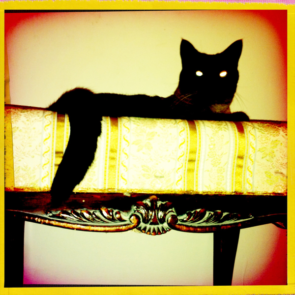 Hip 335314720.497588