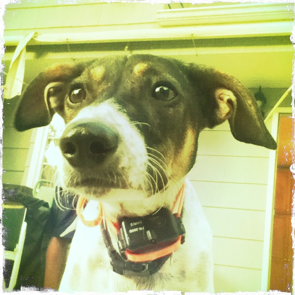 Hip 335316102.345545