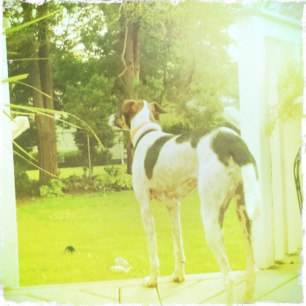 Hip 335316313.489162