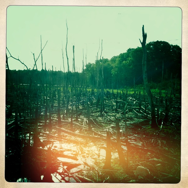 Hip 329695495.785690