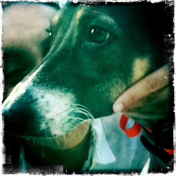 Hip 335316729.605331