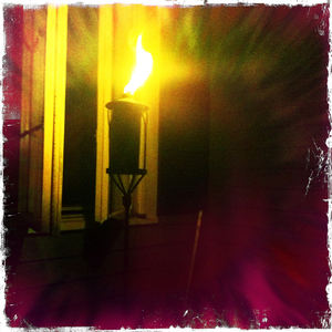 Hip 333162022.063857