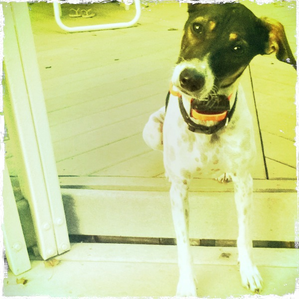 Hip 335316037.074367