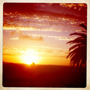 Hip 315510958.772690