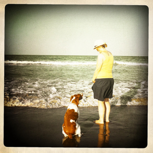 Hip 333932039.929810