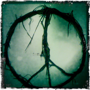 Hip 335325046.036332