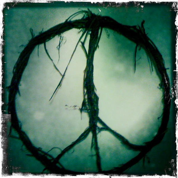 Hip 335325046.036332