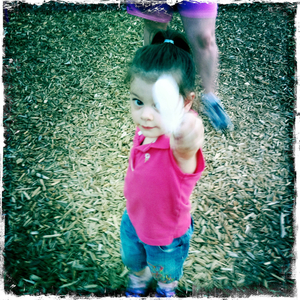 Hip 335322609.291890