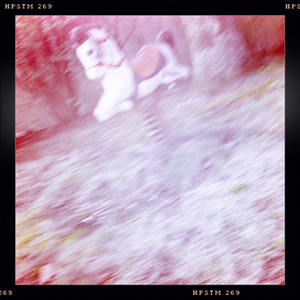 Hip 335230204.374279