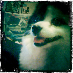 Hip 335325825.185232