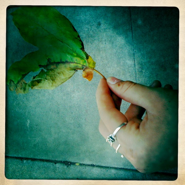 Hip 330652130.599300