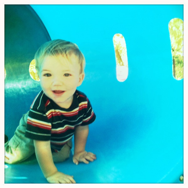 Hip 334350026.446462