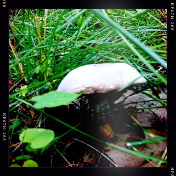 Hip 331316527.516152