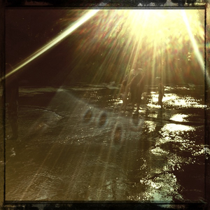 Hip 331081386.674413