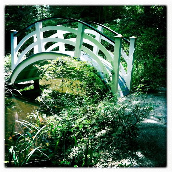 Hip 334951640.146752