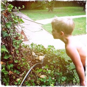 Hip 335317308.021395