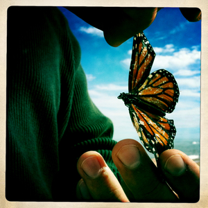 Hip 305758300.867532