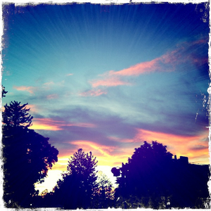 Hip 335327617.001034