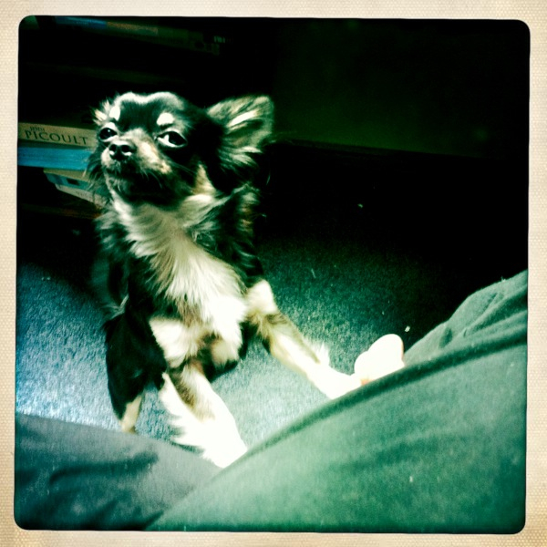 Hip 334461772.885372