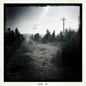 Hip 335320491.922785