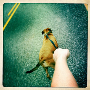 Hip 335056151.792518