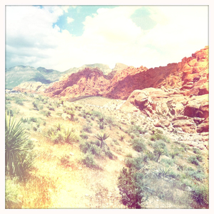 Hip 325277517.519387